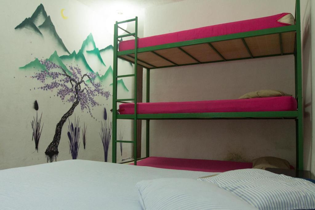 El Misti Hostel Ilha Grande Ilha Grande  Esterno foto